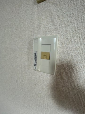 【その他】 | パミドールC