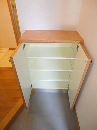 メゾンエトワールの収納|同物件の別号室のお部屋です。現況を優先とします。