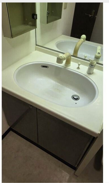 センチュリー西新宿の洗面所