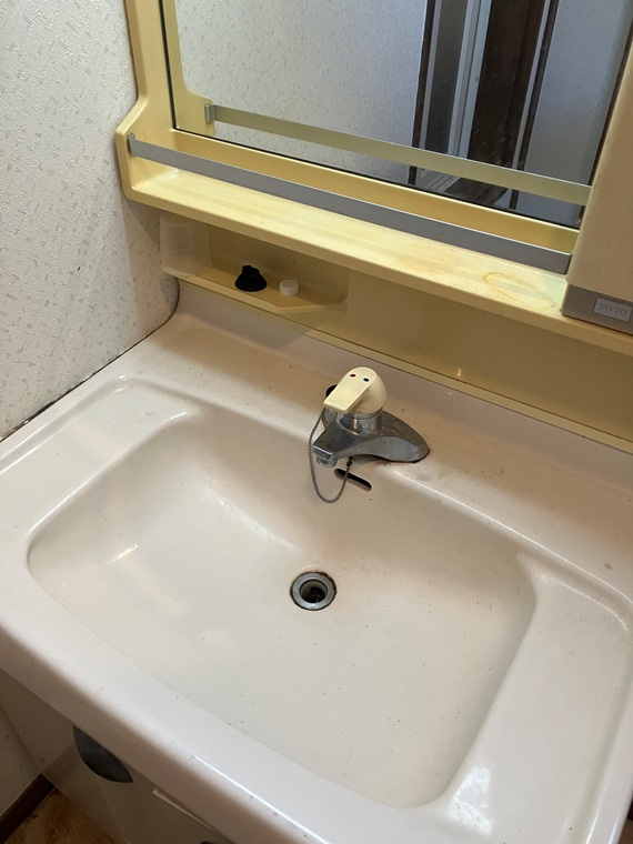 王禅寺東戸建の洗面所