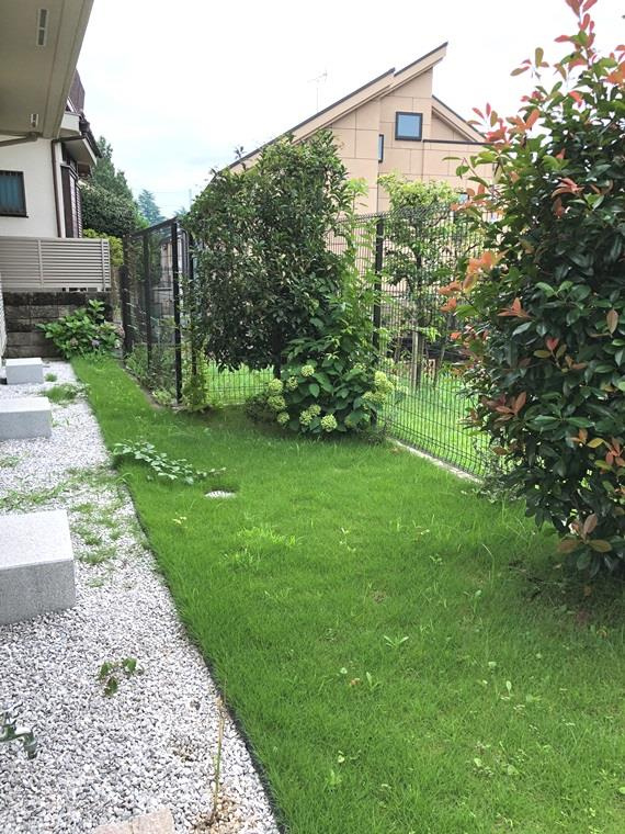 鈴木町戸建の庭