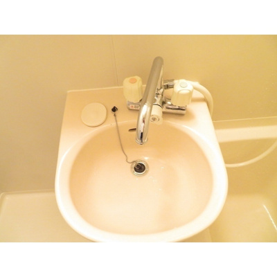 【浴室】 | プロムナード中浦和 | 写真は別部屋です