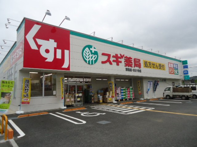 【周辺】 | アペックスＳＴＫ | スギ薬局清瀬店まで2,858ｍ