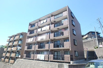 ７ｔｈバレー東戸塚の画像