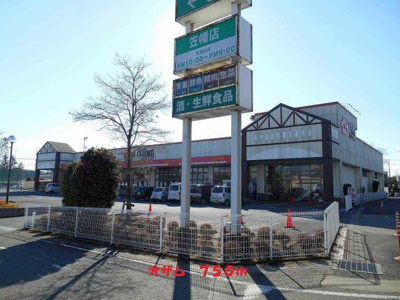 【周辺】 | サニ－・ファウンテンⅡ | オザムまで750m