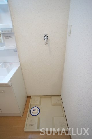 シャトレ有田の洗面所