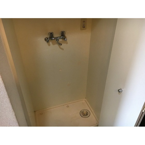 ダイホープラザ橋本Ⅲのその他|室内洗濯機置き場