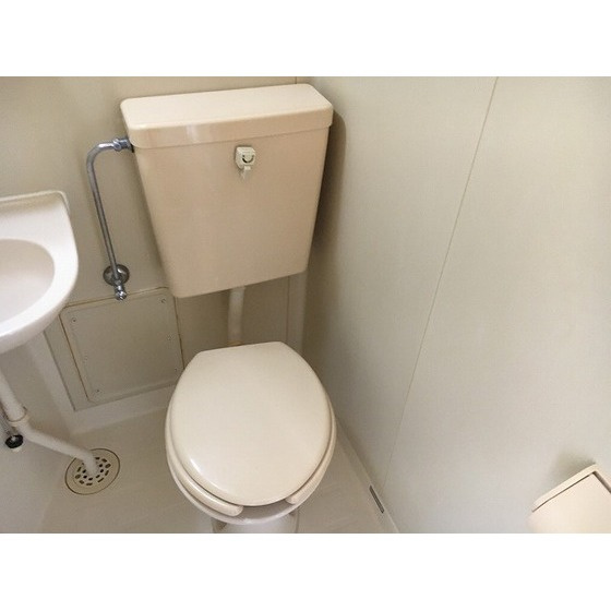 ダイホープラザ橋本Ⅲのトイレ|トイレ