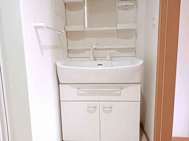 フィオーレ白浜Ⅰの洗面所