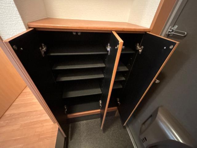 ヴィクトリーステージカンダの収納|下駄箱