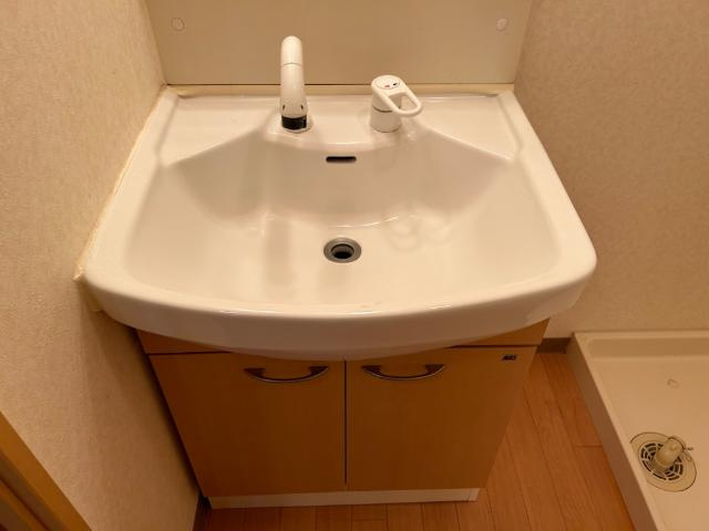 ル・ソレイユ細江Ⅰの洗面所|洗髪洗面化粧台