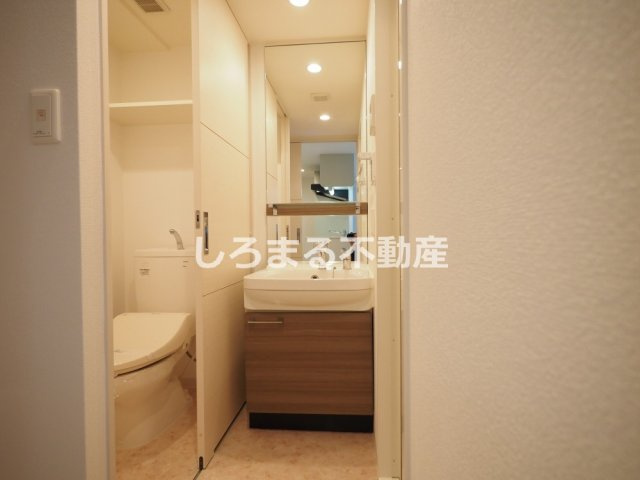 プレサンス心斎橋ラヴィの洗面所