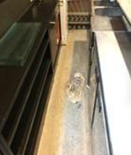 大阪市中央区千日前２丁目の店舗一部のキッチン