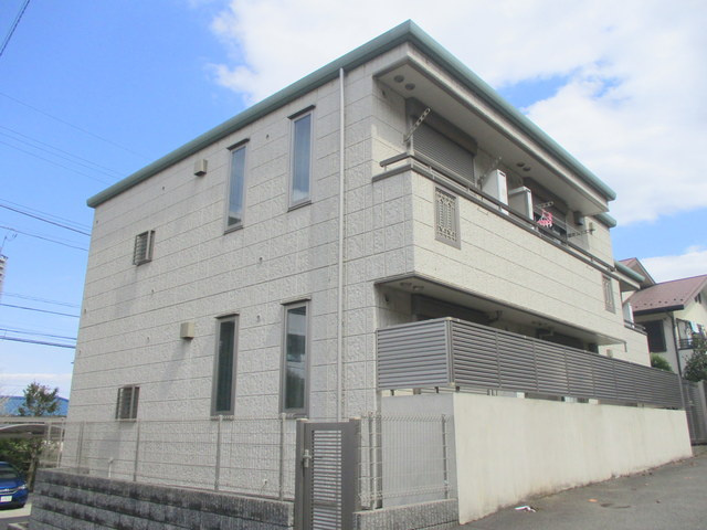 ＭＡＩＳＯＮ ＥＭＡ