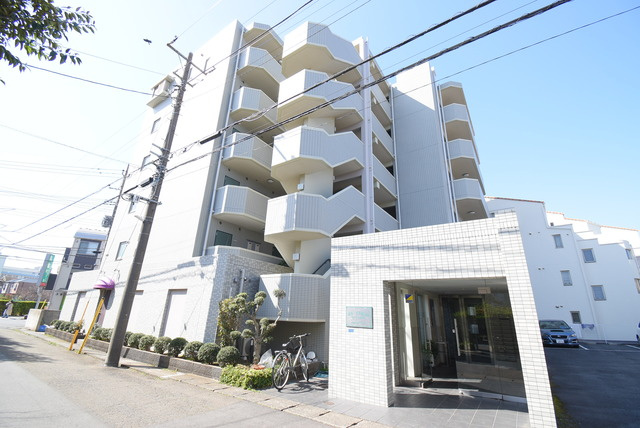 オリーブフォレスト