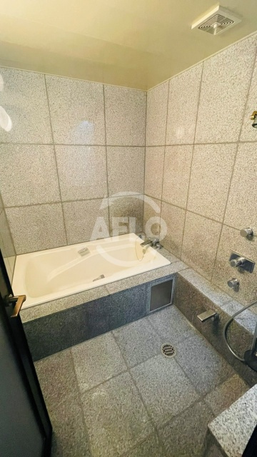 パレス帝塚山(晴明丘南小学校区)の浴室|パレス帝塚山　浴室