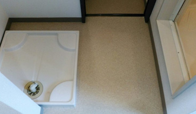 【その他】 | カモミール