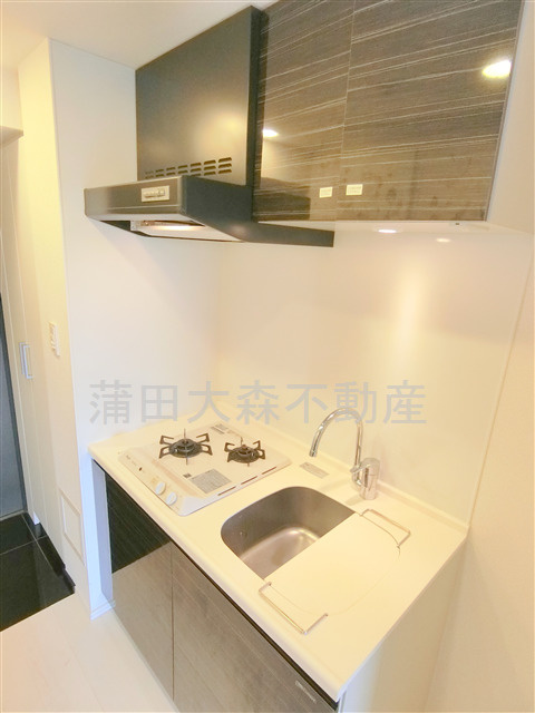 ハーモニーレジデンス大森WESTのキッチン|2口ガスシステムキッチン