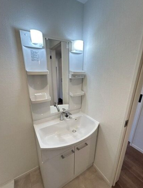 fleurriziere野中の洗面所