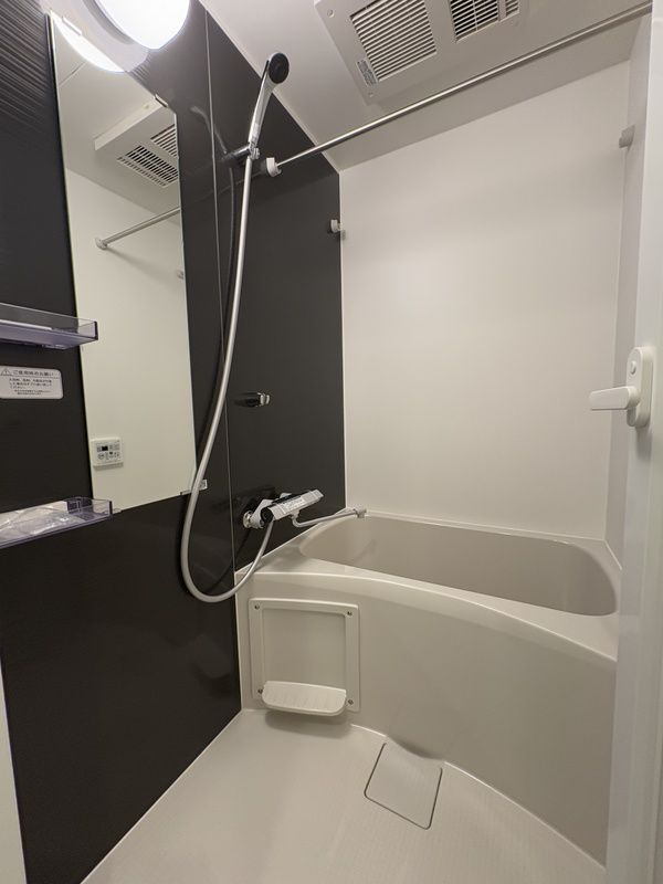 S-RESIDENCE本中山aloriaの浴室