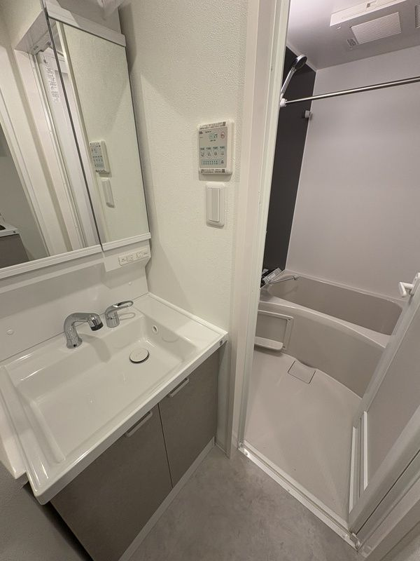 S-RESIDENCE本中山aloriaの独立洗面台