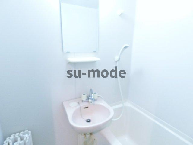 ヴィユーフルーヴⅡの洗面所