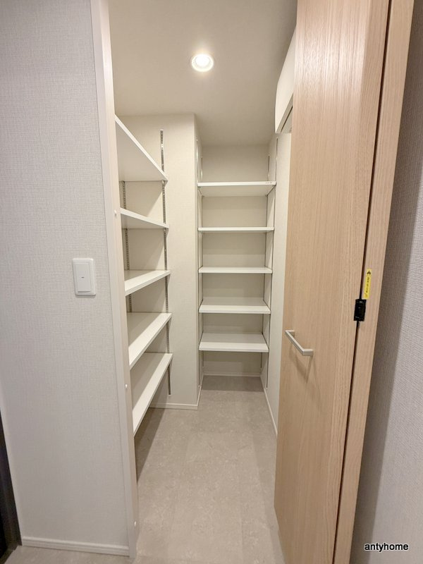 グランセジュール大国町の収納