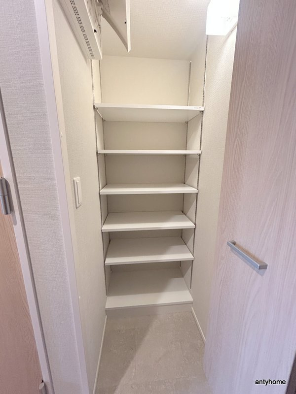 グランセジュール大国町の収納