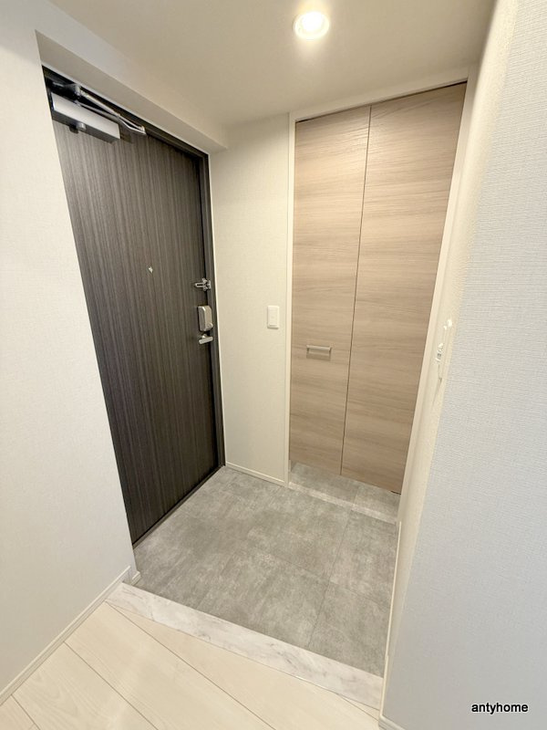 グランセジュール大国町の玄関