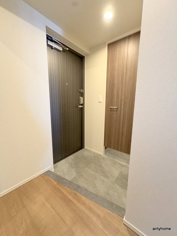 グランセジュール大国町の玄関