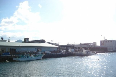 【周辺】 | オルタンシアⅡ | 沼津港まで1100m