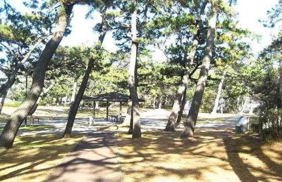 【周辺】 | オルタンシアⅡ | 千本公園まで400m