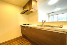 レーベンシティオ上野入谷タワーフォルムのキッチン