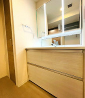 レーベンシティオ上野入谷タワーフォルムの独立洗面台