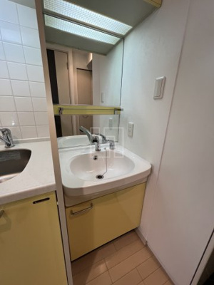 【独立洗面台】 | プレサンス難波リバーオアシス | プレサンス難波リバーオアシス　独立洗面台