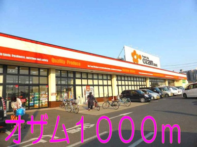 【周辺】 | セレーノＢ | スーパーオザムまで1000m