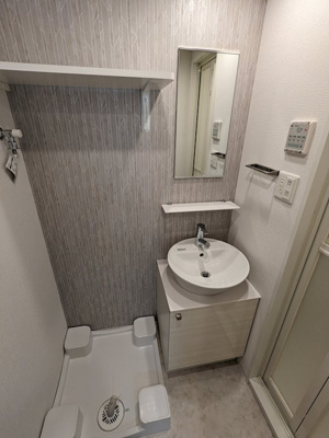 【洗面所】 | エスリード弁天町ノースプレミア | 洗面所です