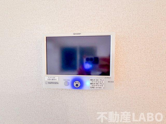 レクタスのその他