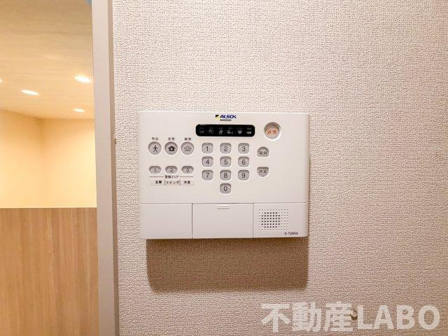 レクタスのその他