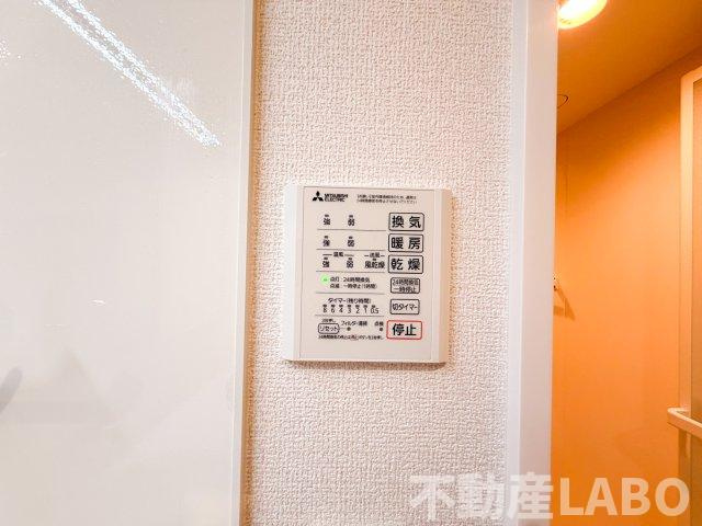 レクタスのその他