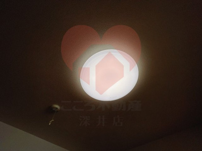 【その他】 | OBELISK,K