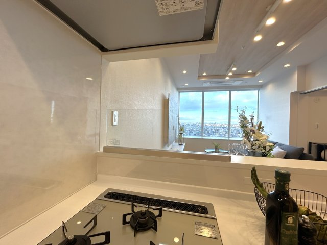 ステーションプラザタワーのキッチン