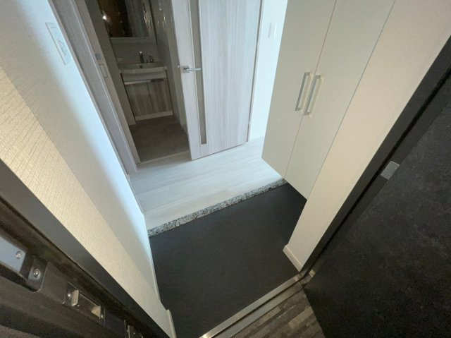 ソルテラス阿波座ウィズの玄関|ソルテラス阿波座ウィズ　玄関