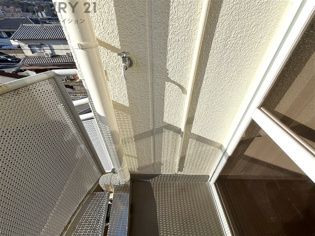 ステップインウエストのその他