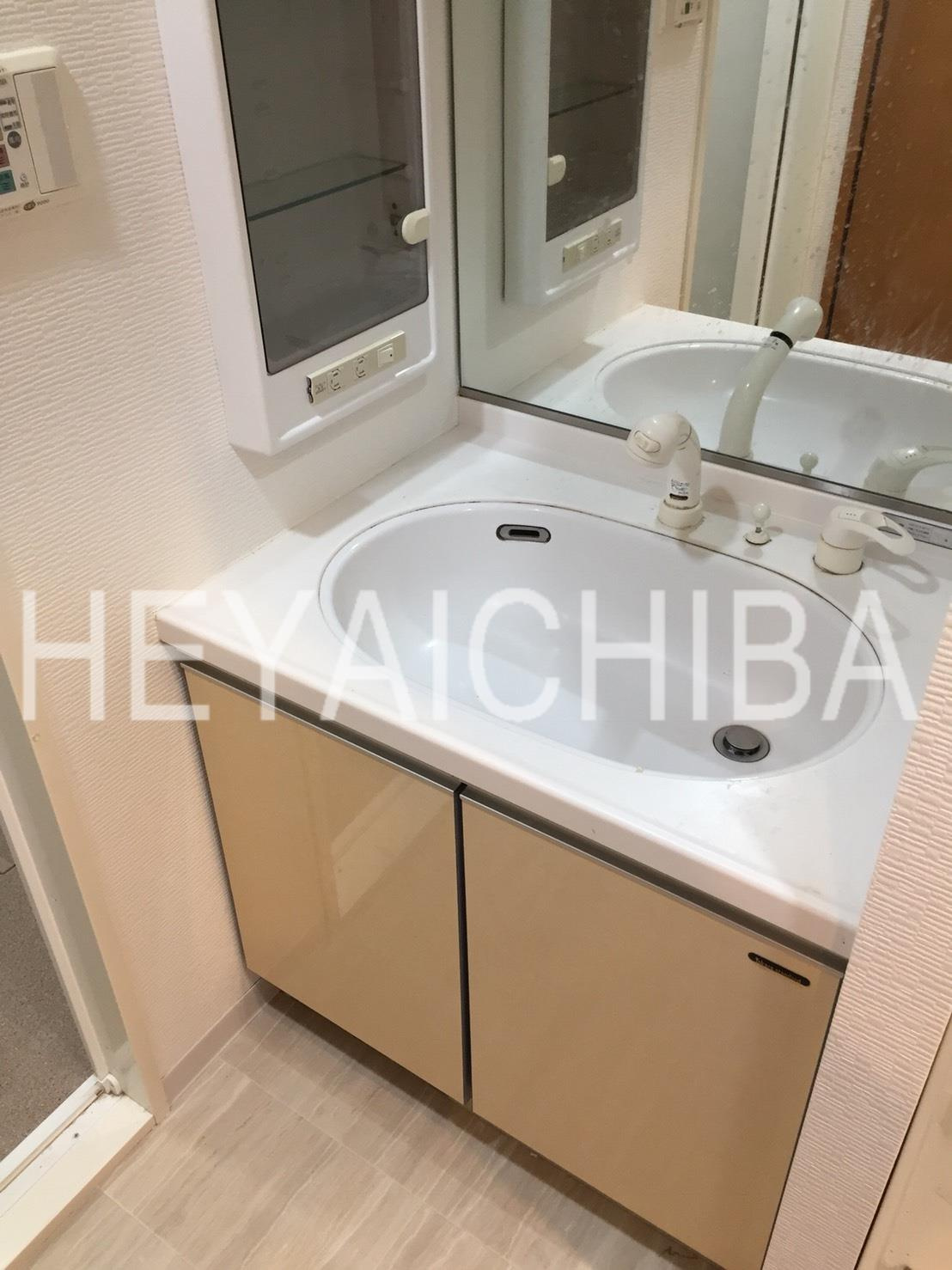 スカイコート蔵前の洗面所|シャワー付き洗面台