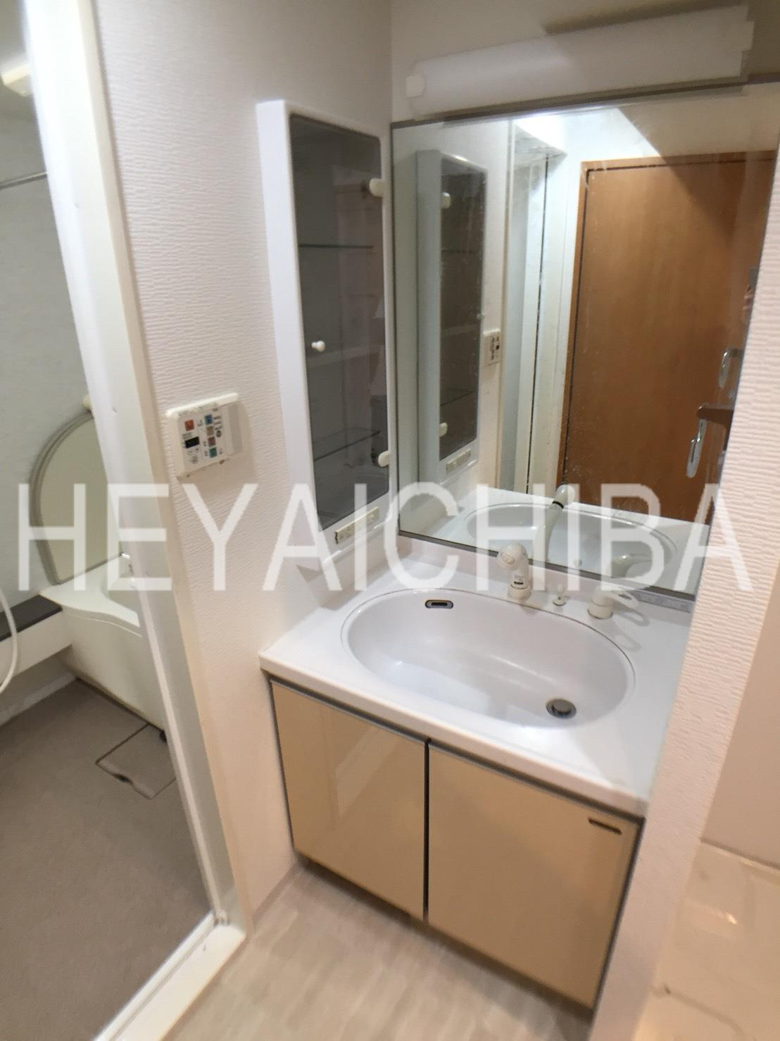 スカイコート蔵前の洗面所