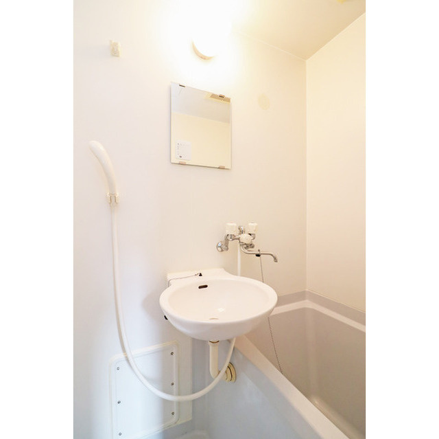 ドミール堺筋本町の洗面所