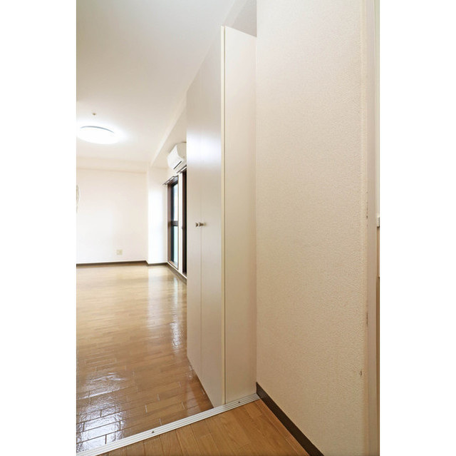 ドミール堺筋本町の収納