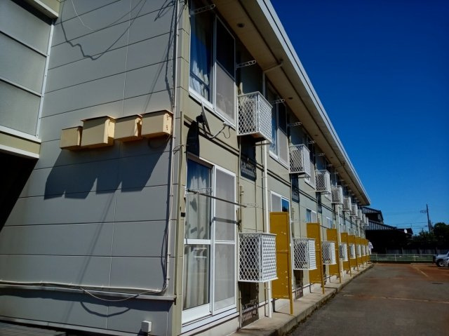 レオパレスピスティスのその他