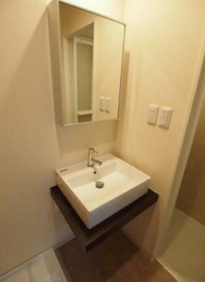 ラマーリエ中野の洗面所